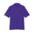 Collegiate Purple